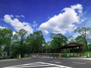 У�@�L(f��ng)��