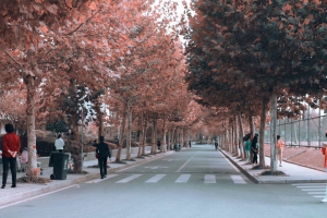 У�@�L(f��ng)��