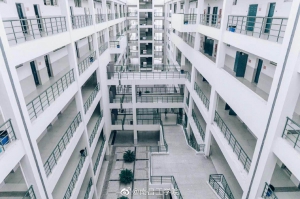 У�@�L(f��ng)��