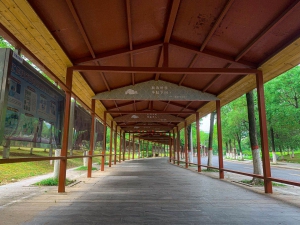 У�@�L(f��ng)��